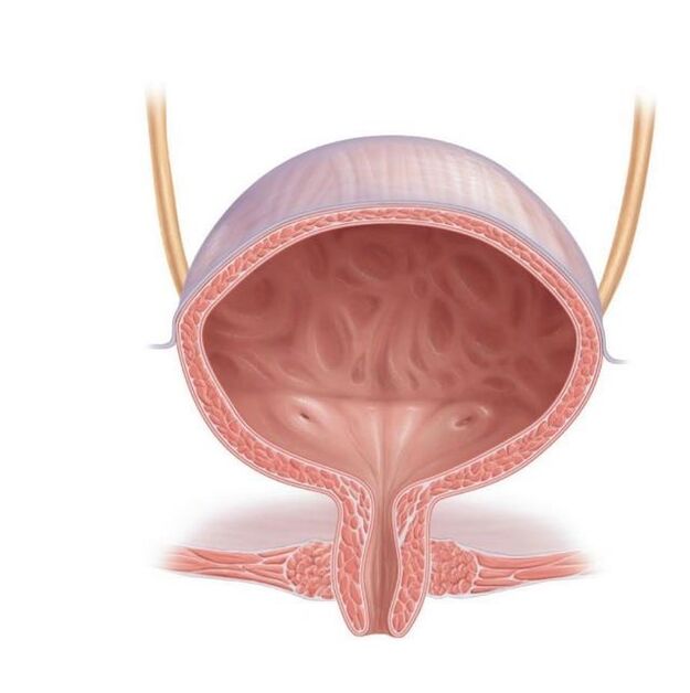 nodeems Dir Cystonette fir Cystitis geholl huet